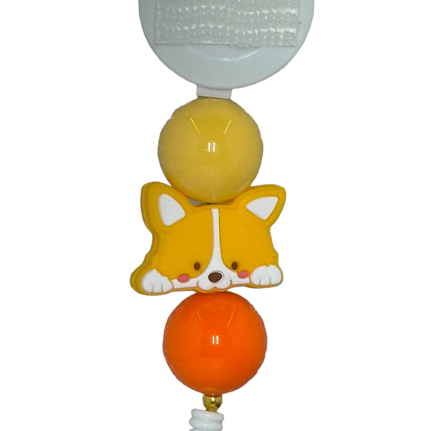 Cute Corgi Without Badge Plate